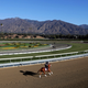 Image for article titled 30th Horse Dies At Santa Anita; Hall Of Fame Trainer Banned From Track